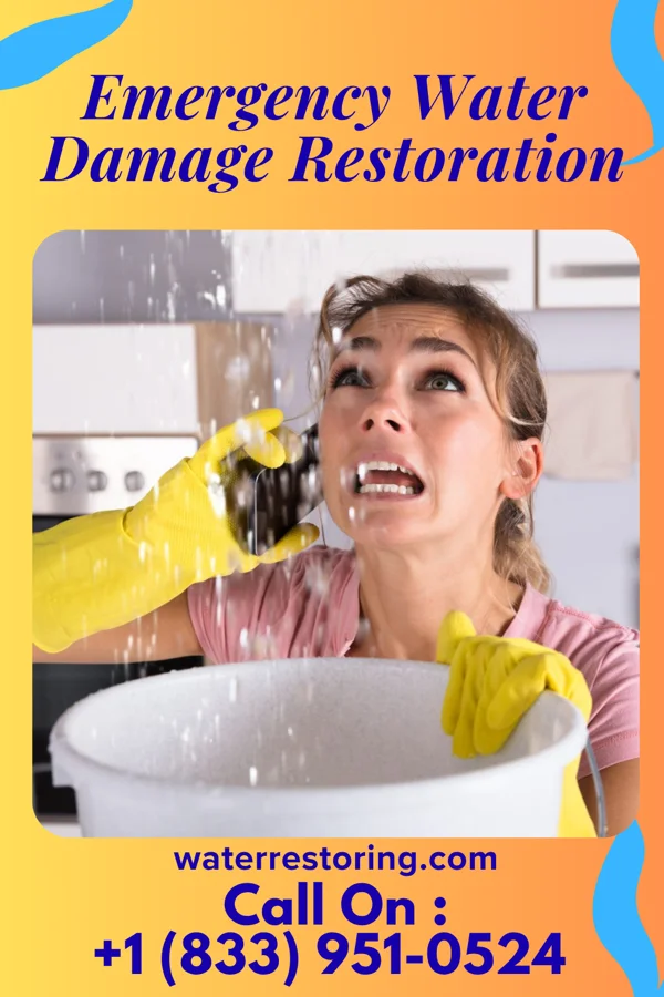 Emergency Water Damage Restoration in Skene, MS